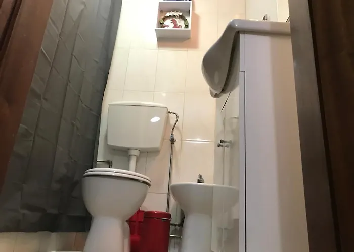 Miguel Torga Typical *